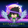 Kyouhei Gaming