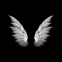 5652881579 avatar